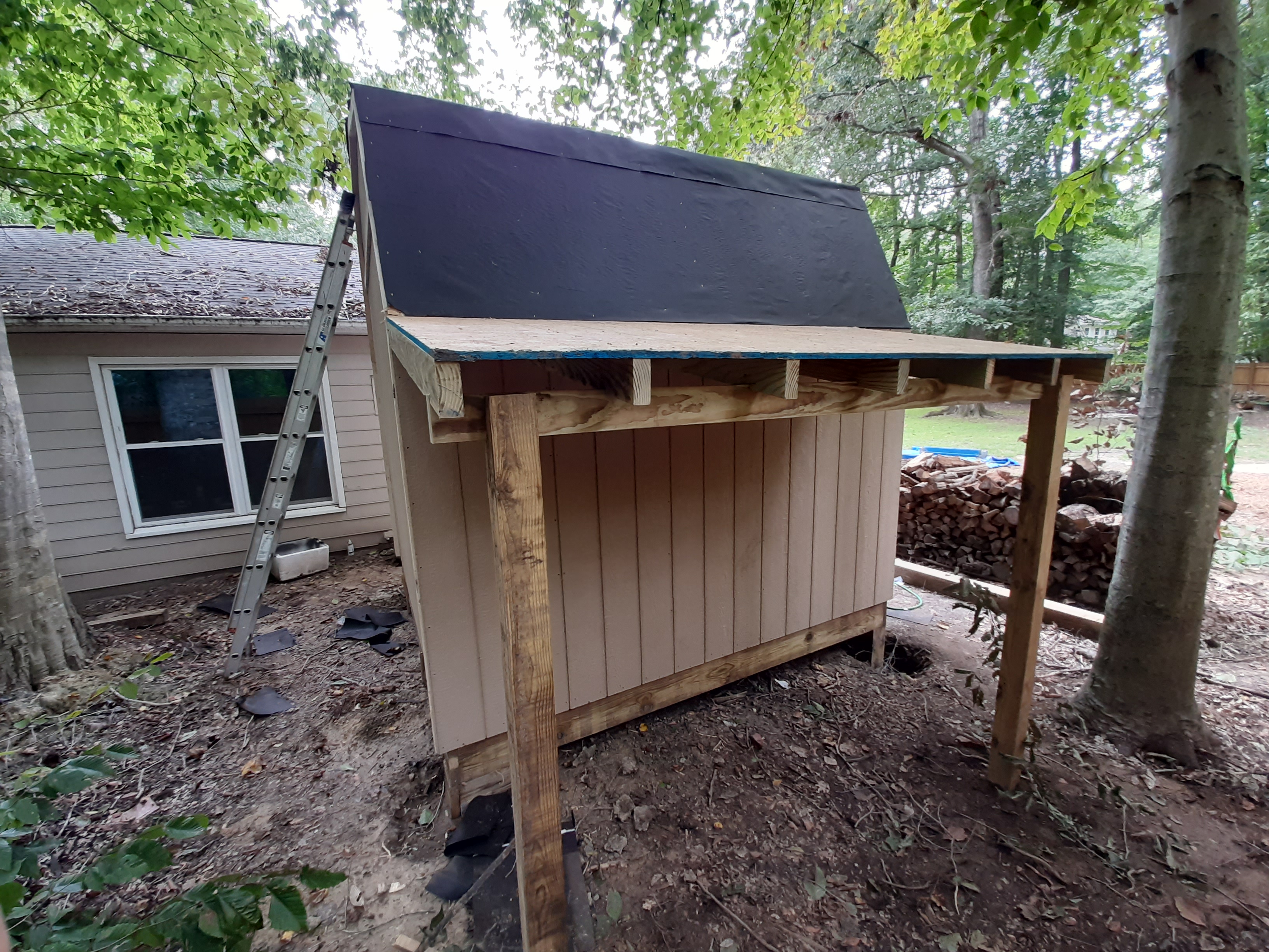 Shed build — walls going up